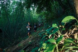 BIB: 
                            <button type="button" onclick="openModal(28124443)" class="btn btn-primary btn-sm float-right btn-popup" data-toggle="modal" data-target=".modal-high-quality">
                        <i class="fas fa-shopping-cart"></i> Add to Cart
                    </button>
                                            <button type="button" onclick="isThisMe(28124443, true)" class="btn btn-success btn-sm float-right btn-popup btn-isme hidden" data-toggle="tooltip" data-placement="bottom" title="นี่คือรูปของคุณใช่ไหม คลิกที่นี่เพื่อเอาเข้าอัลบั้ม">
                        <i class="fas fa-plus"></i> Add to album
                    </button>
                    <button type="button" onclick="isThisMe(28124443, false)" class="btn btn-warning btn-sm float-right btn-popup btn-isnotme hidden">
                        <i class="fas fa-ban"></i> Remove from album
                    </button>